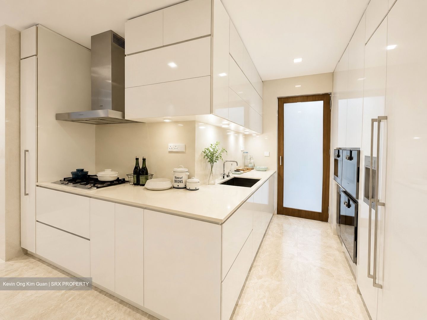 Skyline @ Orchard Boulevard (D9), Apartment #554523861